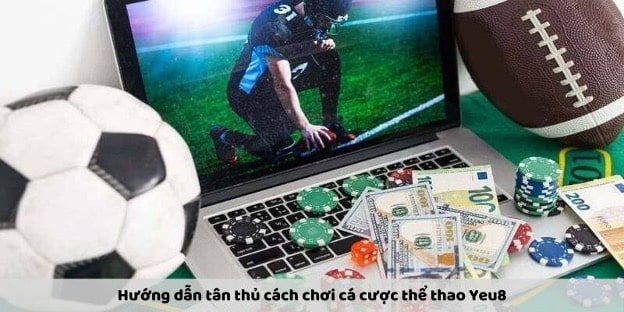 Hướng dẫn tân thủ cách chơi cá cược thể thao Yeu88